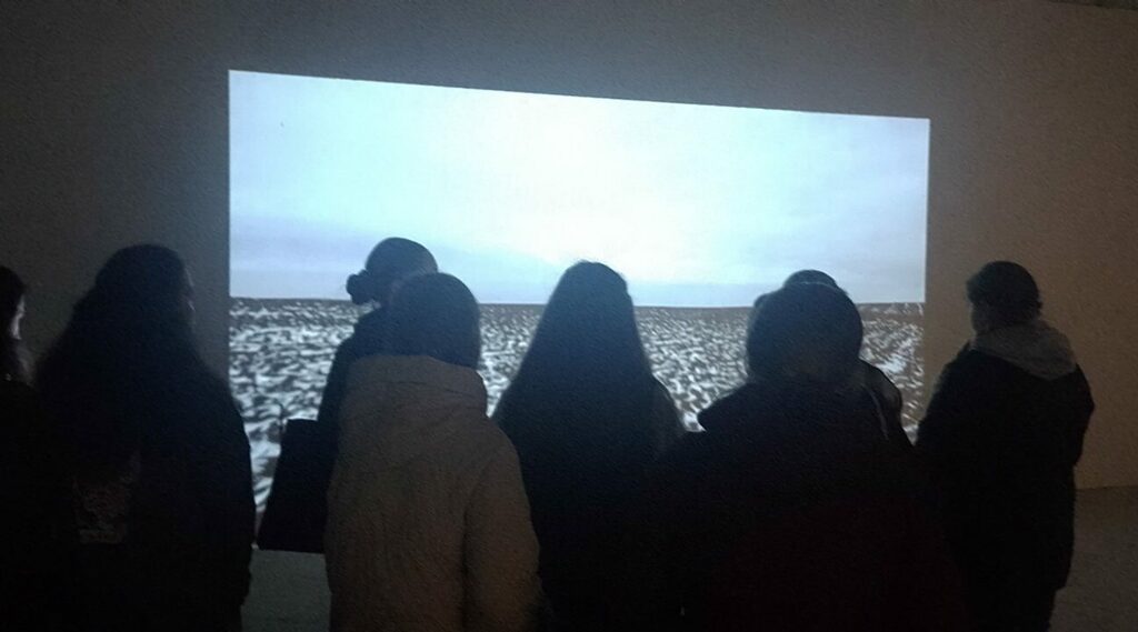 изображение_viber_2024-04-23_12-16-11-995